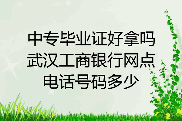 中专毕业证好拿吗武汉工商银行网点电话号码多少