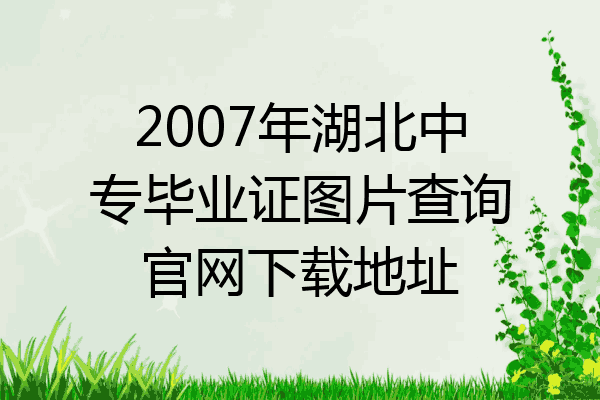 2007年湖北中专毕业证图片查询官网下载地址
