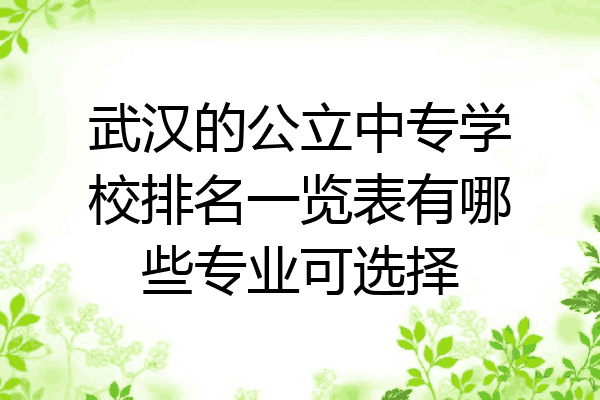 武汉的公立中专学校排名一览表有哪些专业可选择