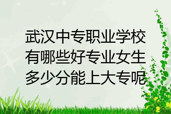 武汉中专职业学校有哪些好专业女生多少分能上大专呢
