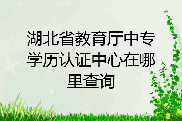 湖北省教育厅中专学历认证中心在哪里查询