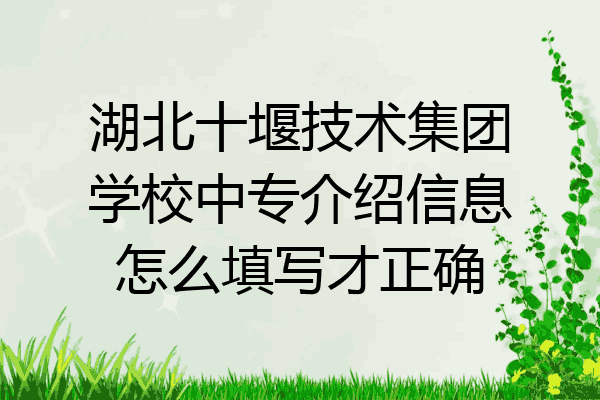 湖北十堰技术集团学校中专介绍信息怎么填写才正确