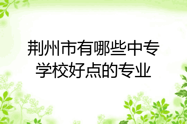 荆州市有哪些中专学校好点的专业