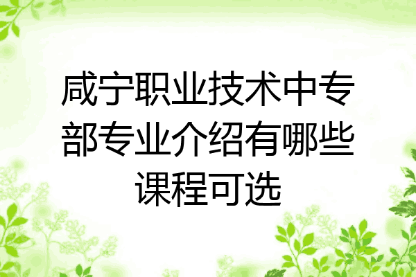 咸宁职业技术中专部专业介绍有哪些课程可选
