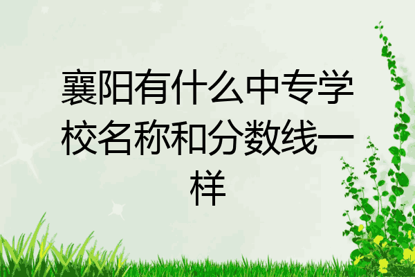 襄阳有什么中专学校名称和分数线一样