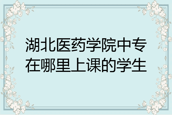 湖北医药学院中专在哪里上课的学生