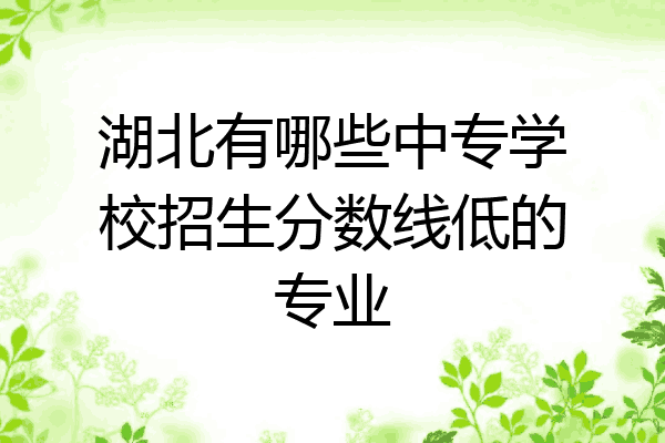湖北有哪些中专学校招生分数线低的专业