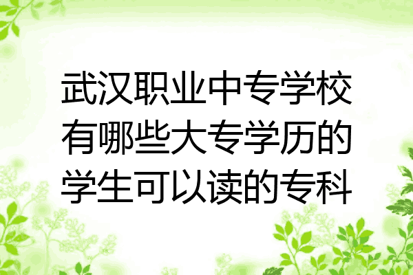 武汉职业中专学校有哪些大专学历的学生可以读的专科