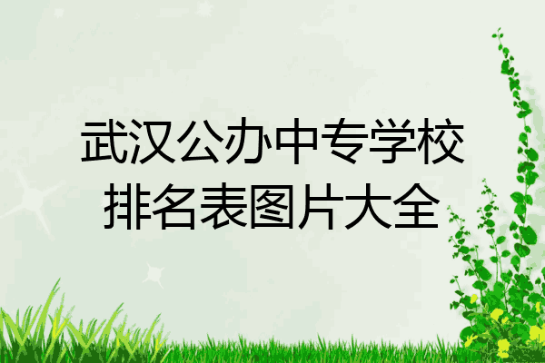 武汉公办中专学校排名表图片大全