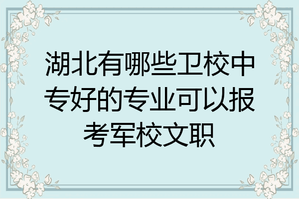 湖北有哪些卫校中专好的专业可以报考军校文职