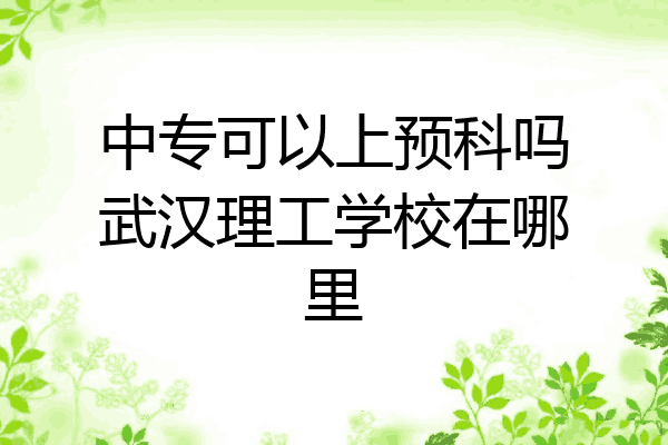 中专可以上预科吗武汉理工学校在哪里