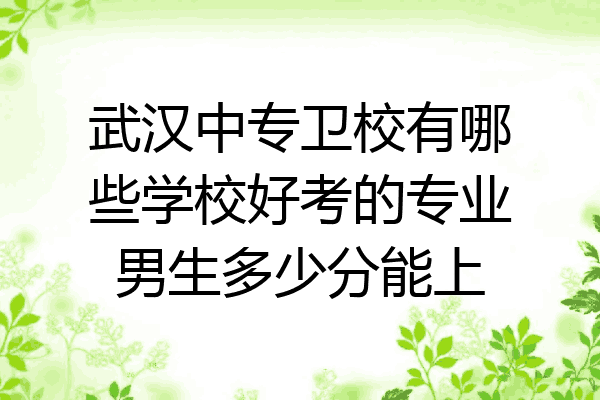 武汉中专卫校有哪些学校好考的专业男生多少分能上