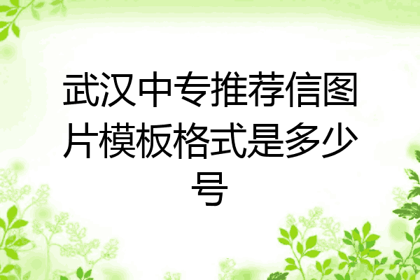 武汉中专推荐信图片模板格式是多少号