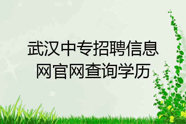 武汉中专招聘信息网官网查询学历