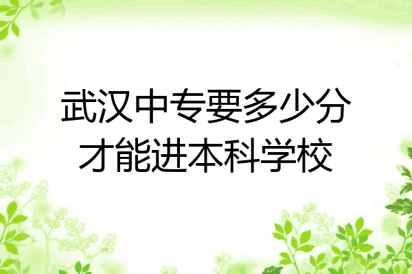 武汉中专要多少分才能进本科学校