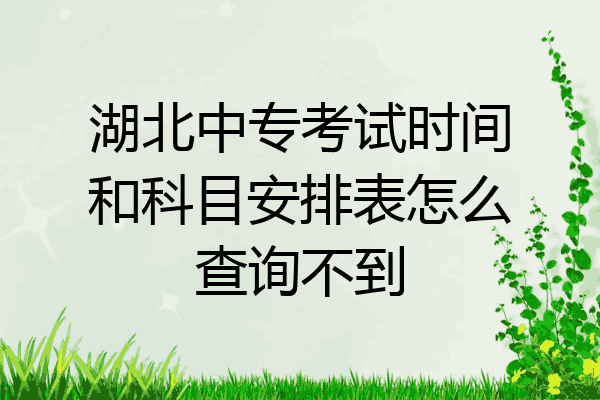 湖北中专考试时间和科目安排表怎么查询不到