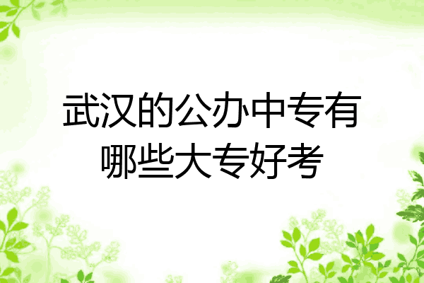 武汉的公办中专有哪些大专好考