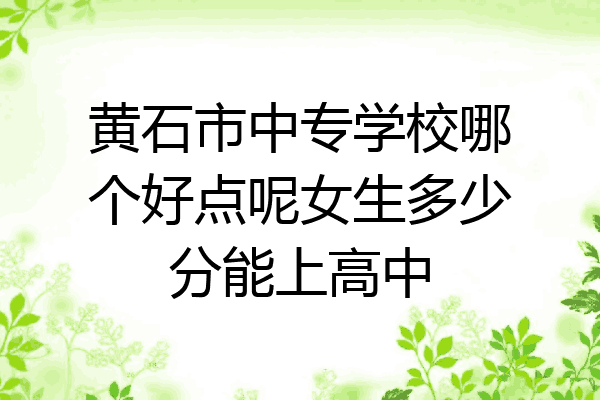 黄石市中专学校哪个好点呢女生多少分能上高中