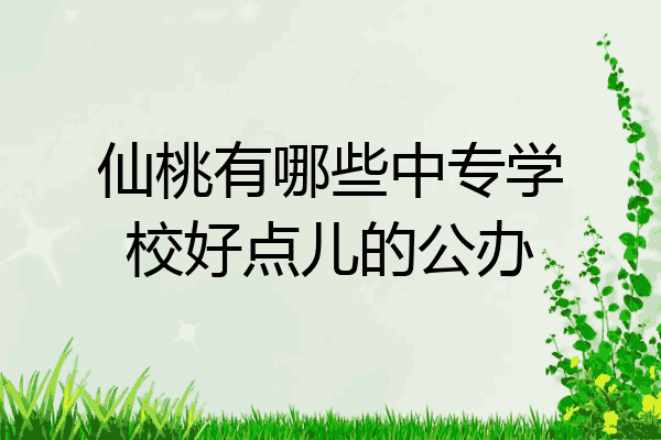 仙桃有哪些中专学校好点儿的公办