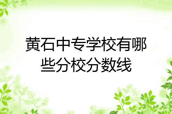黄石中专学校有哪些分校分数线