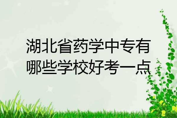 湖北省药学中专有哪些学校好考一点