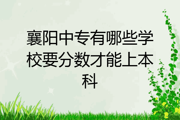 襄阳中专有哪些学校要分数才能上本科
