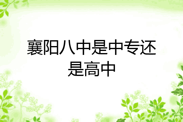 襄阳八中是中专还是高中