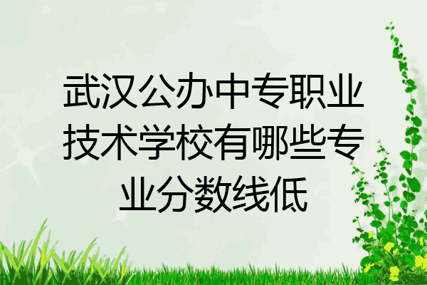 武汉公办中专职业技术学校有哪些专业分数线低