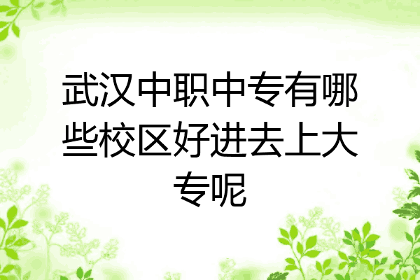 武汉中职中专有哪些校区好进去上大专呢