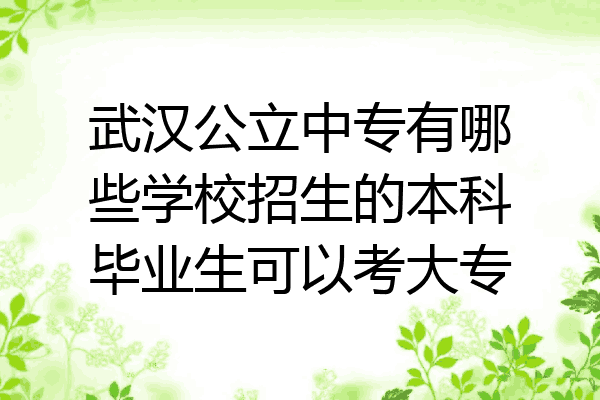 武汉公立中专有哪些学校招生的本科毕业生可以考大专