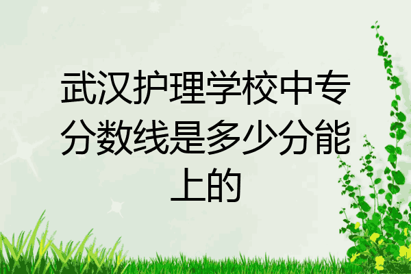 武汉护理学校中专分数线是多少分能上的