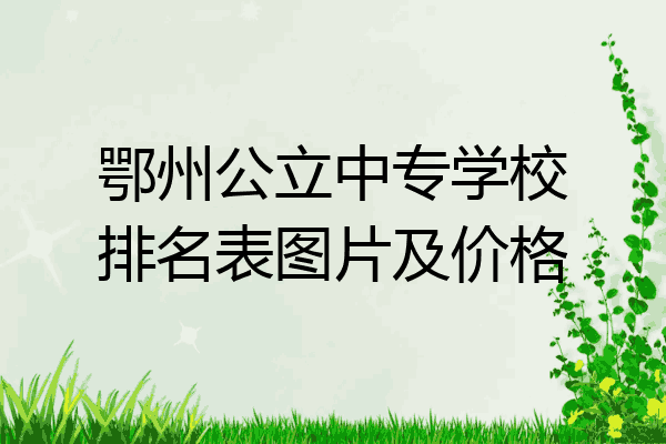 鄂州公立中专学校排名表图片及价格