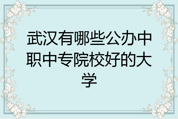 武汉有哪些公办中职中专院校好的大学
