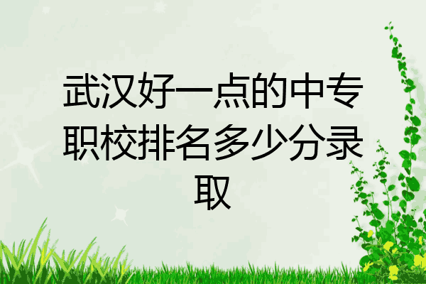 武汉好一点的中专职校排名多少分录取