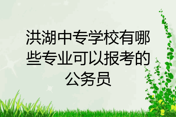 洪湖中专学校有哪些专业可以报考的公务员