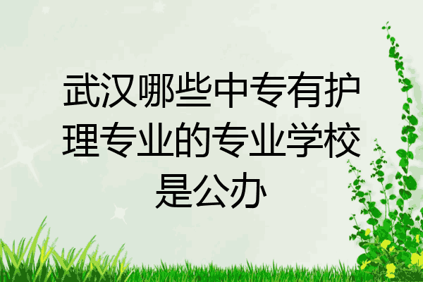 武汉哪些中专有护理专业的专业学校是公办