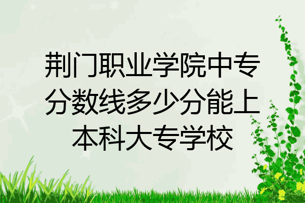 荆门职业学院中专分数线多少分能上本科大专学校