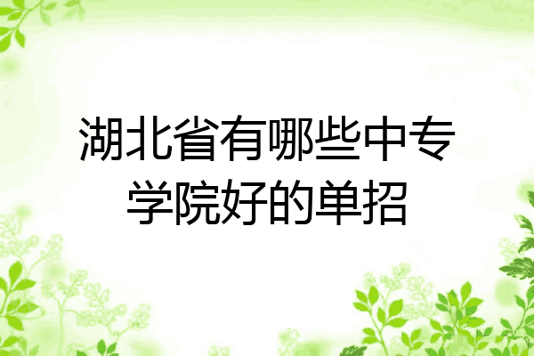 湖北省有哪些中专学院好的单招