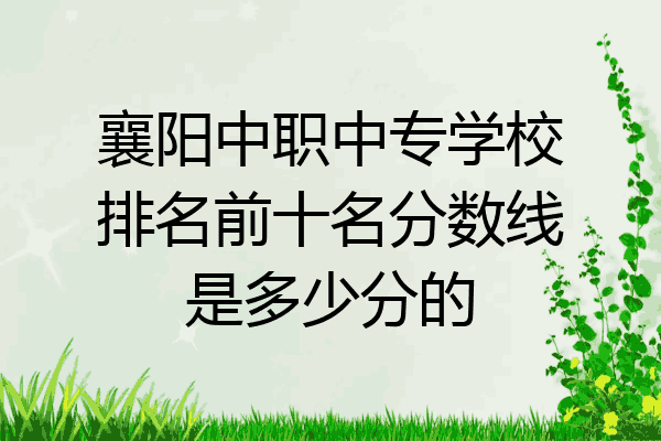 襄阳中职中专学校排名前十名分数线是多少分的
