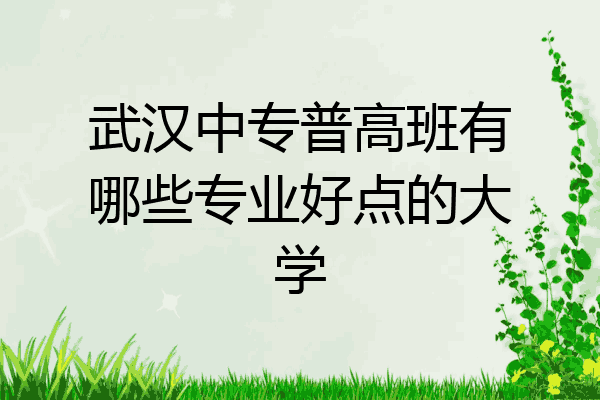武汉中专普高班有哪些专业好点的大学