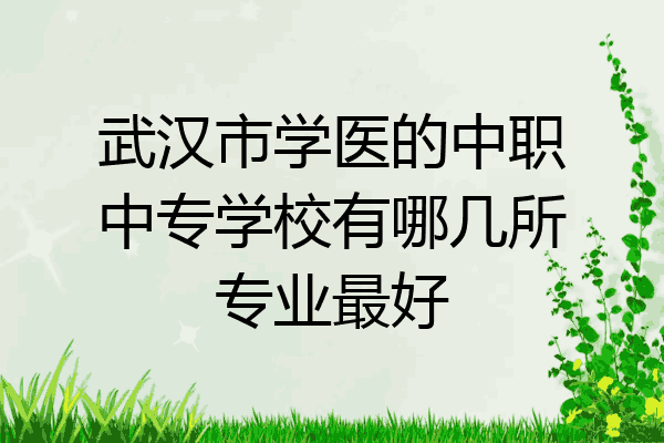 武汉市学医的中职中专学校有哪几所专业最好