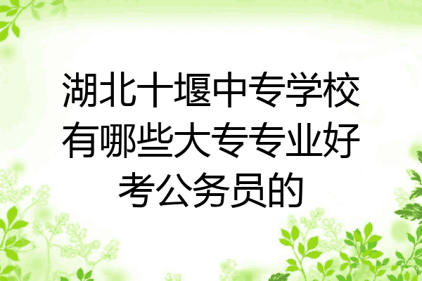 湖北十堰中专学校有哪些大专专业好考公务员的