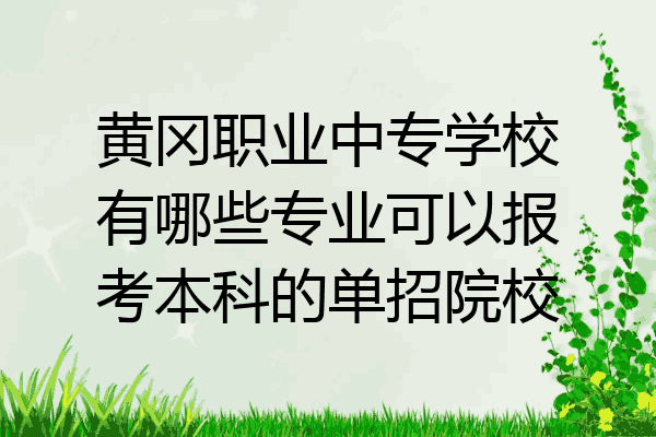 黄冈职业中专学校有哪些专业可以报考本科的单招院校