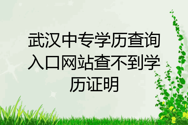 武汉中专学历查询入口网站查不到学历证明