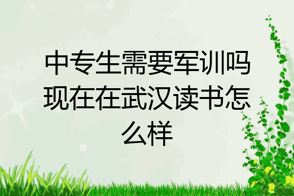 中专生需要军训吗现在在武汉读书怎么样