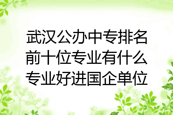 武汉公办中专排名前十位专业有什么专业好进国企单位