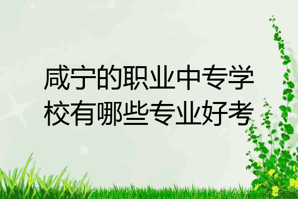 咸宁的职业中专学校有哪些专业好考