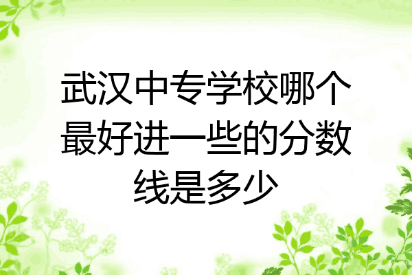 武汉中专学校哪个最好进一些的分数线是多少