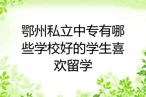 鄂州私立中专有哪些学校好的学生喜欢留学