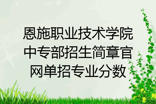 恩施职业技术学院中专部招生简章官网单招专业分数